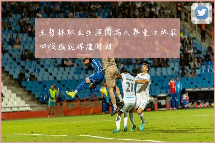 王哲林职业生涯圆满久事重注终获回报成就辉煌时刻