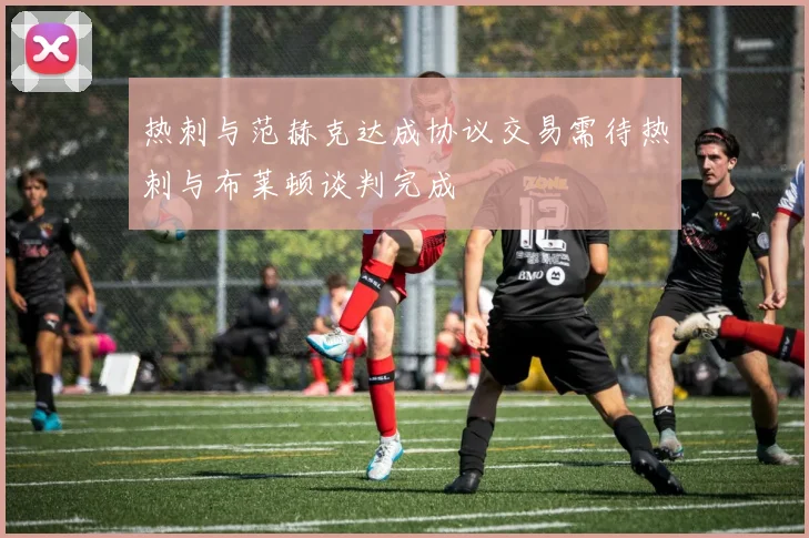 热刺与范赫克达成协议交易需待热刺与布莱顿谈判完成