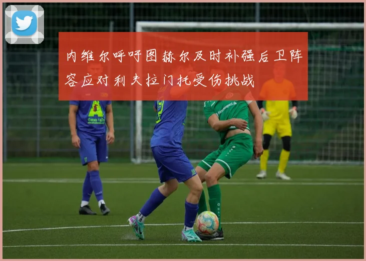 内维尔呼吁图赫尔及时补强后卫阵容应对利夫拉门托受伤挑战