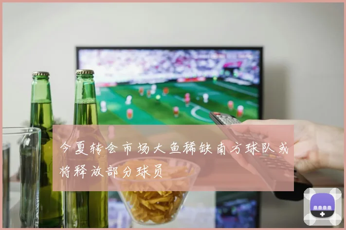 今夏转会市场大鱼稀缺南方球队或将释放部分球员